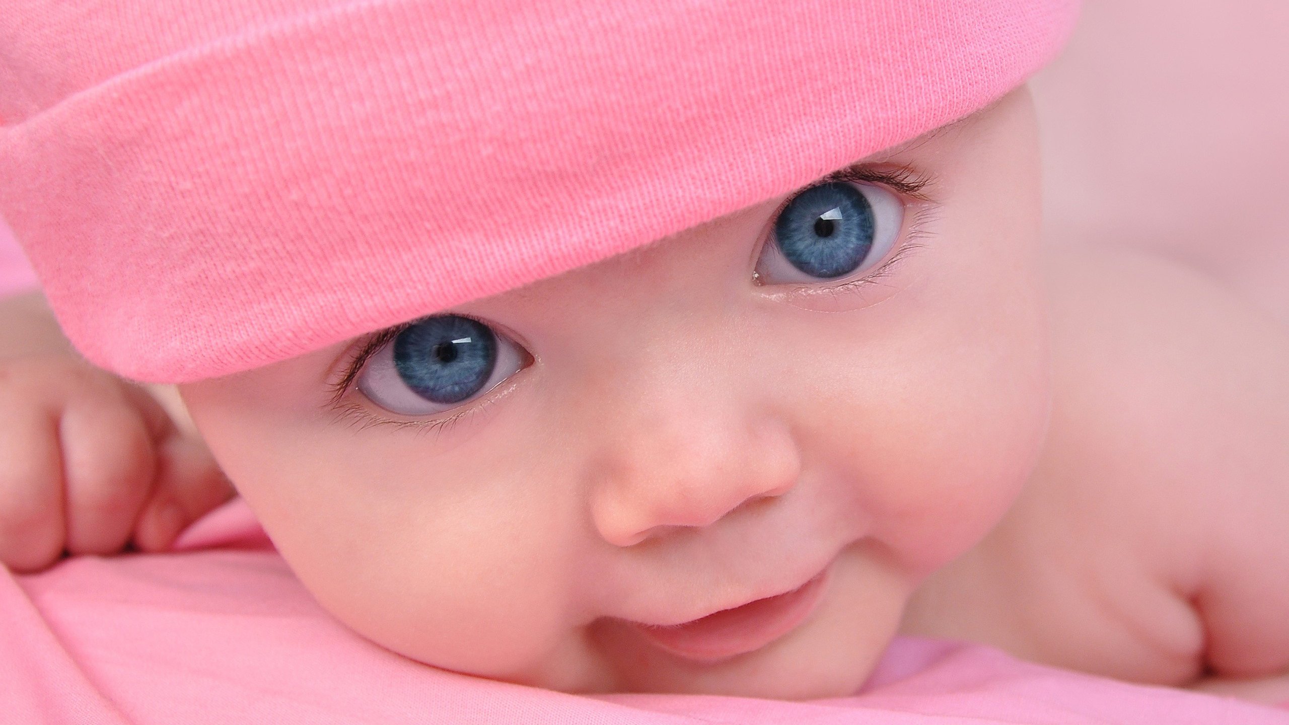 捐卵机构试管婴儿冻囊胚成功率